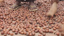 Load and play video in Gallery viewer, Better Butter Company - 100% Raw Unrefined Shea Butter - 500 Grams